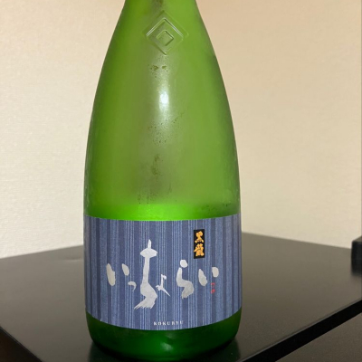 福井県の酒