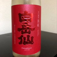 白岳仙