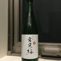 宮城県の酒