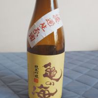 亀の海