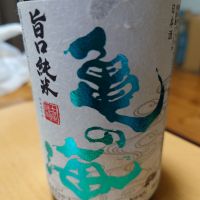 亀の海
