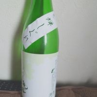 亀の海