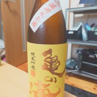 亀の海