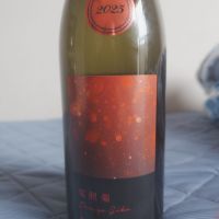 電照菊