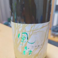 風の森