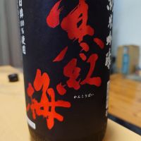 寒紅梅