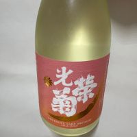 光栄菊