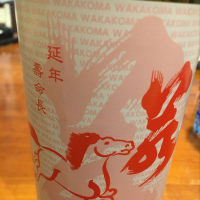 若駒