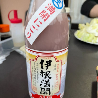 伊根満開