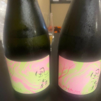 
            風の森_
            tknさん