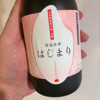 宮崎県の酒