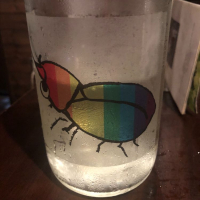 
            仙禽_
            tknさん