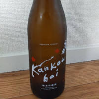 
            寒紅梅_
            カノンさん
