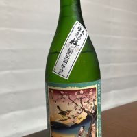 臥龍梅