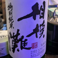 相模灘