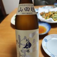 一白水成