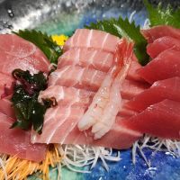 亀の海のレビュー by_Porco Rosso