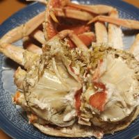 亜麻猫のレビュー by_Porco Rosso