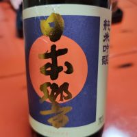 日本響