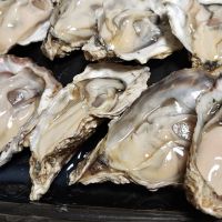 川中島 幻舞のレビュー by_Porco Rosso