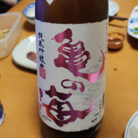 亀の海