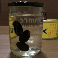 
            Ohmine (大嶺)_
            treridley-0918-さん