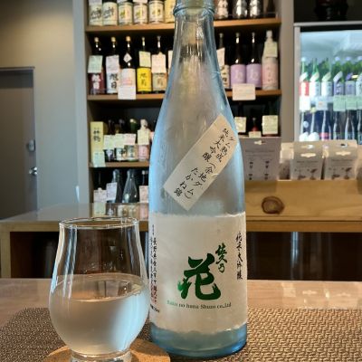 ドフラミンゴさん(2026年10月6日)の日本酒「佐久乃花」レビュー