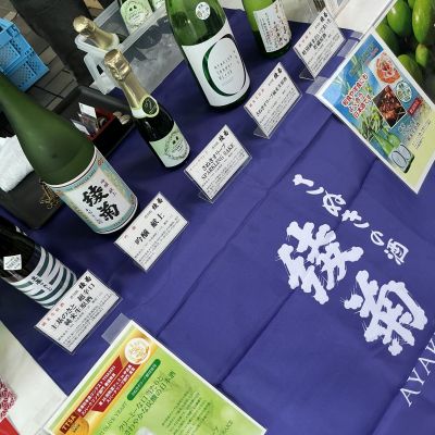 綾菊のレビュー by_ドフラミンゴ