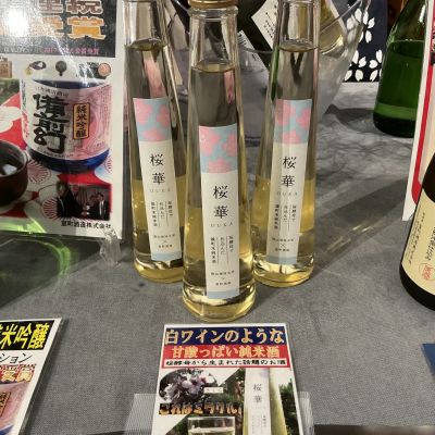 櫻室町（桜室町）のレビュー by_ドフラミンゴ