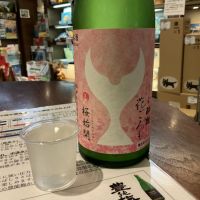 酔鯨のレビュー by_ドフラミンゴ