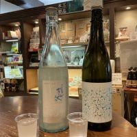 土佐しらぎく