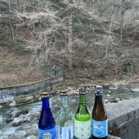 大盃のレビュー by_ドフラミンゴ