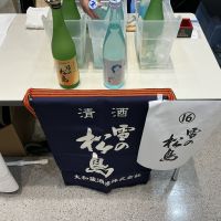 雪の松島