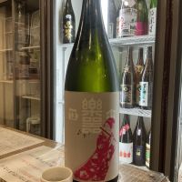 楽器正宗のレビュー by_ドフラミンゴ