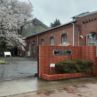 夢心のレビュー by_ドフラミンゴ