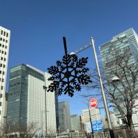 天美のレビュー by_ドフラミンゴ