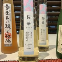 櫻室町（桜室町）のレビュー by_ドフラミンゴ