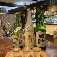 土佐しらぎくのレビュー by_ドフラミンゴ