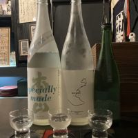 本正