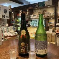 豊の梅（豊能梅）