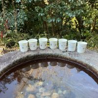 八咫烏のレビュー by_ドフラミンゴ