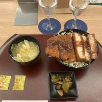 からはしのレビュー by_ドフラミンゴ