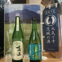 真上
