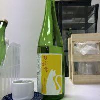 美濃紅梅