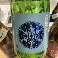 銀盤のレビュー by_ドフラミンゴ