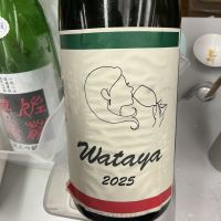綿屋