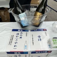 山の井