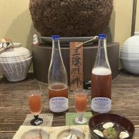 SAKE seriesのレビュー by_ドフラミンゴ