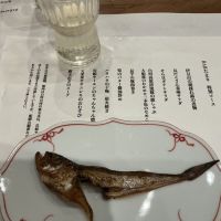 鰹正宗のレビュー by_ドフラミンゴ