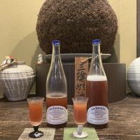 SAKE series